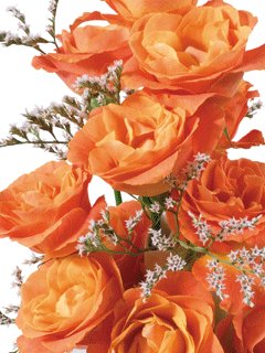 Юличка любимая с Днем рождения