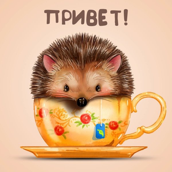Доброе утро (307)