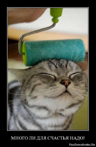 Много ли для счастья надо?