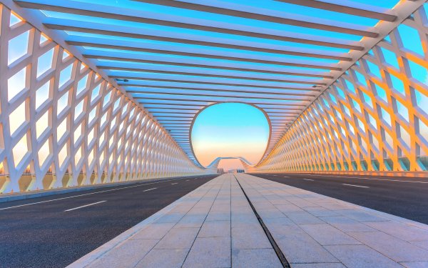 Bridging the Gap 8