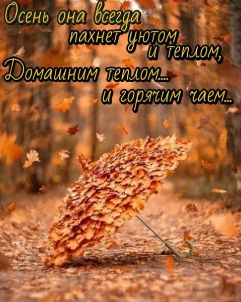 file_95105220