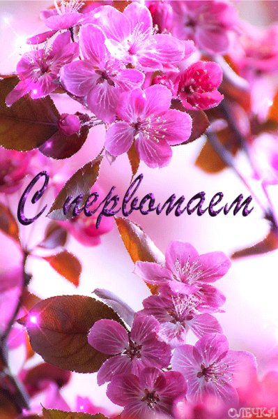 C первомаем!