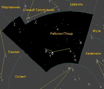 Созвездие Райская птица