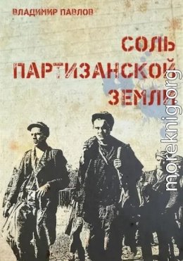 Соль партизанской земли