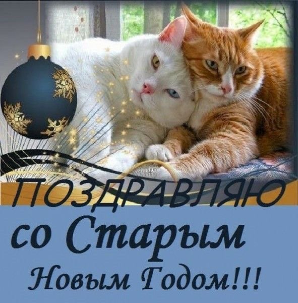 file_92427415