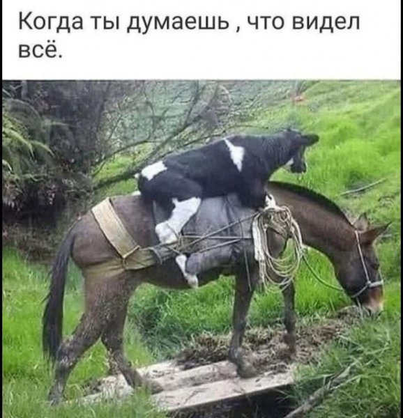 FB IMG 1778007368013