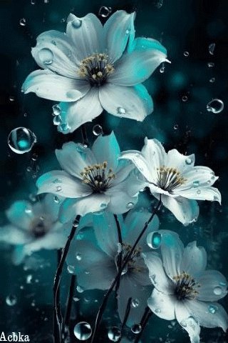 file_93786436