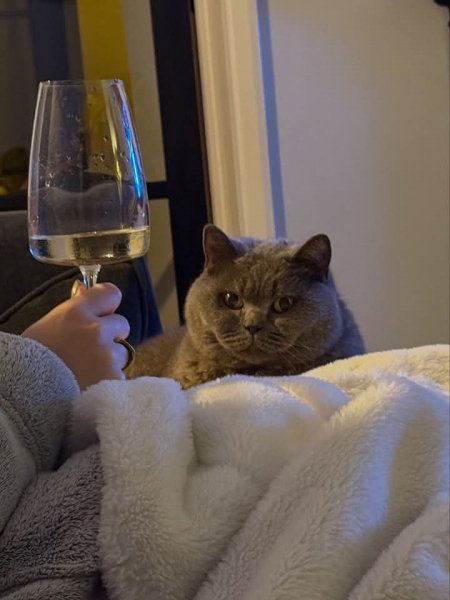 FB IMG 1772379657308