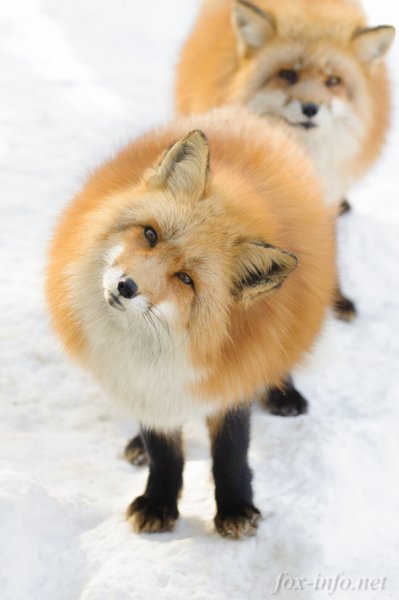 классный взгляд