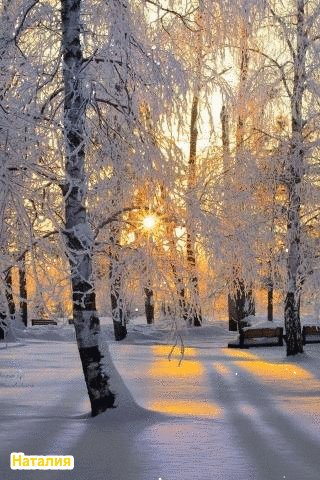file_99080530