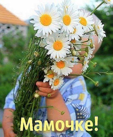 Трогательный стих