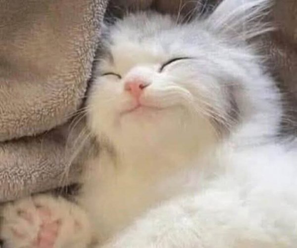 FB IMG 1774268662229