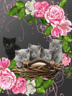 file_59531373