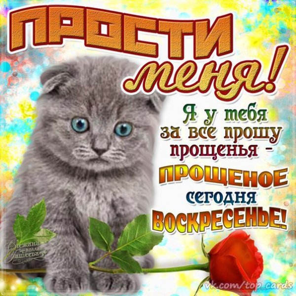 С Прощёным Воскресеньем (3)