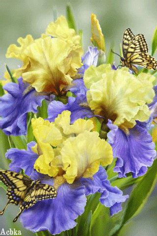 file_93188012