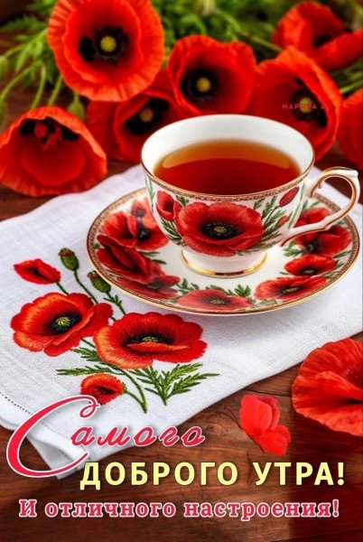 Доброе утро (359)