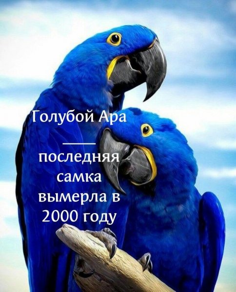 bde0b2cd5672c824832f16dced222