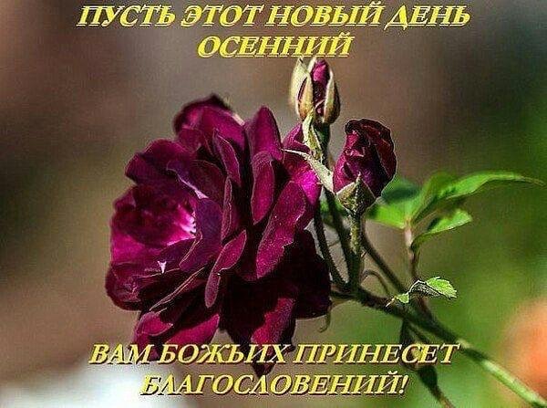 Ef0VViXluGU