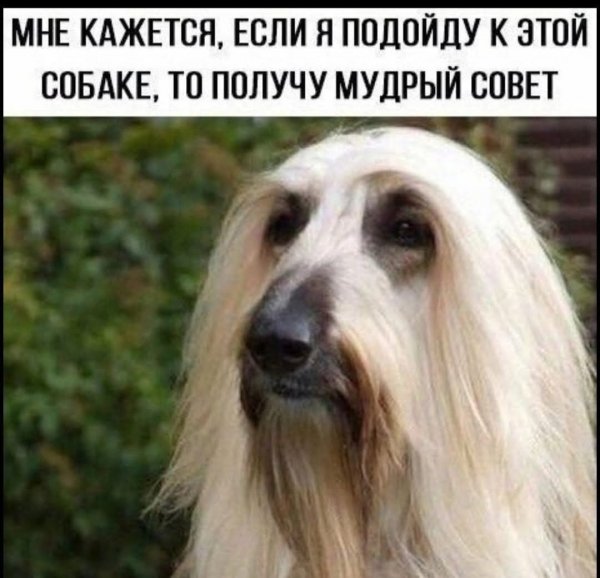 FB IMG 1779122679733