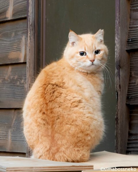 2. 14ZBl8o8VdooNOjjbF1j1w0F0yo3HkUPAYsy-fAHtppGHNm1SDqILypc2