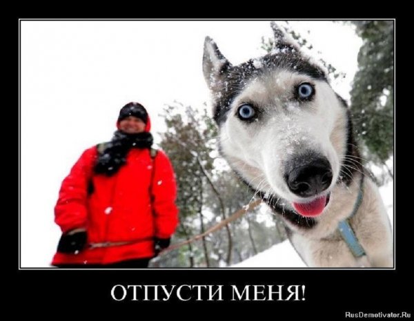 Отпусти меня