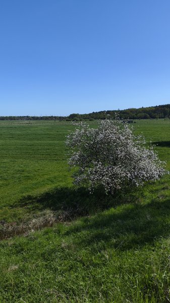 IMG 20260502 143824