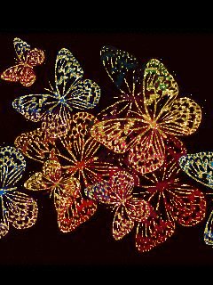 file_45149769