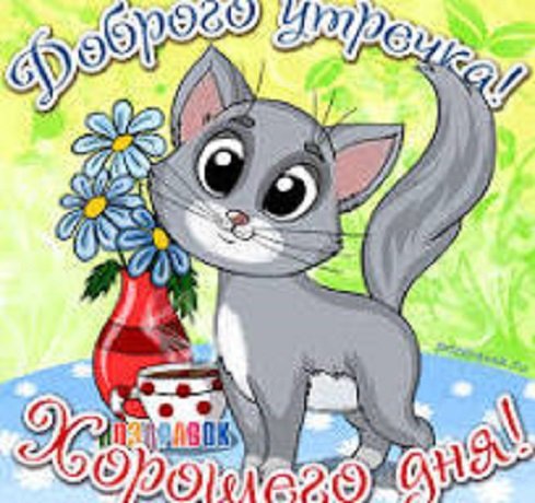 Доброго утречка! Хорошего дня!