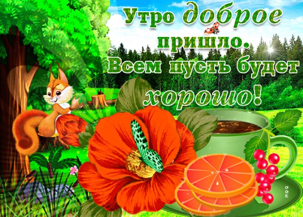 Доброе утро