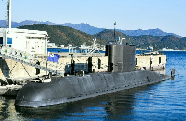 IMG viter59 ROKS Chang Bo Go