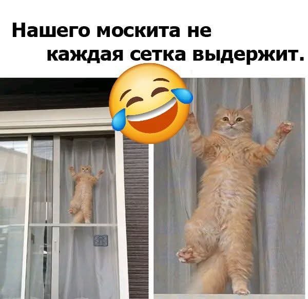 FB IMG 1777225904723