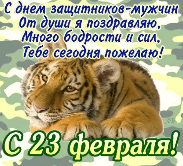 Поздравление с 23 февраля