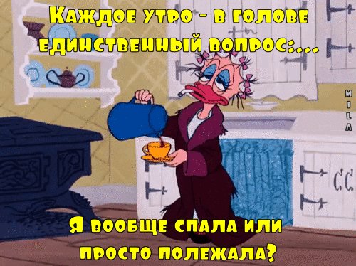 file_73768900
