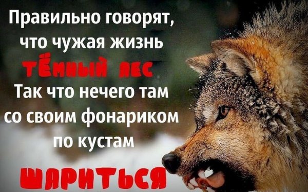 Правильно говорят