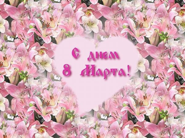 image (65)