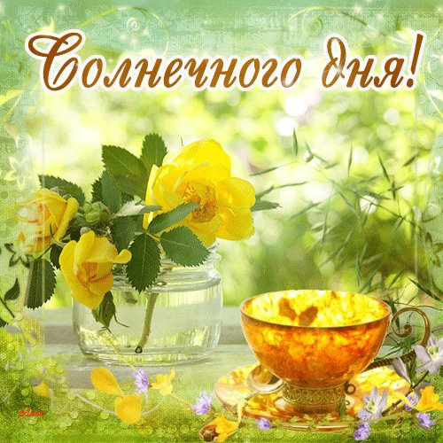 Солнечного дня