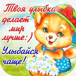 getImage(243)