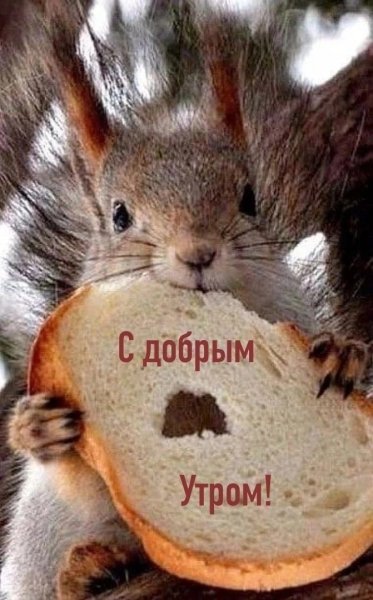 file_92603451