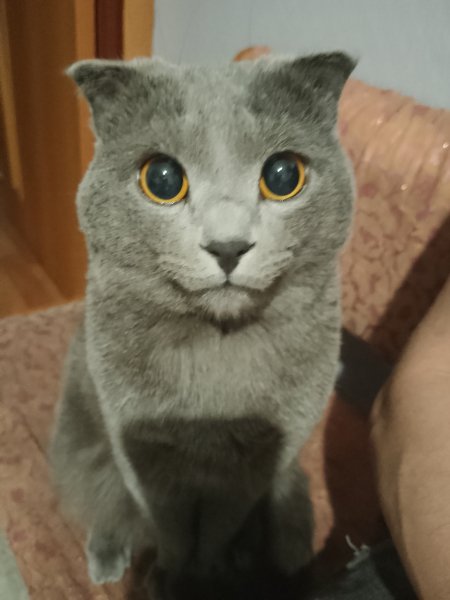 IMG 20250606 234859 623