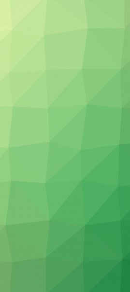 adapted 1080x2408 1751861932