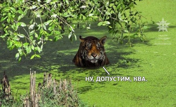 file_97461318