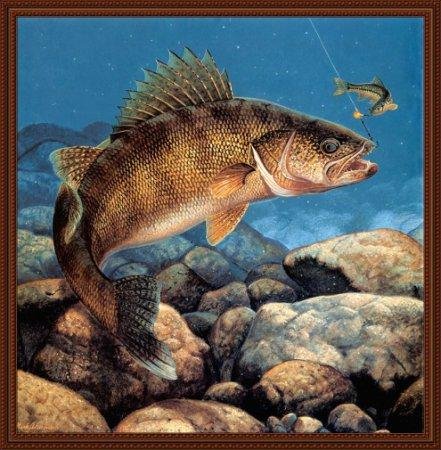 russian fishing 360x640 5800,5228,5230,5530