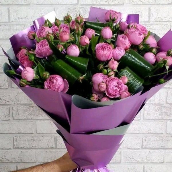 file_95715433