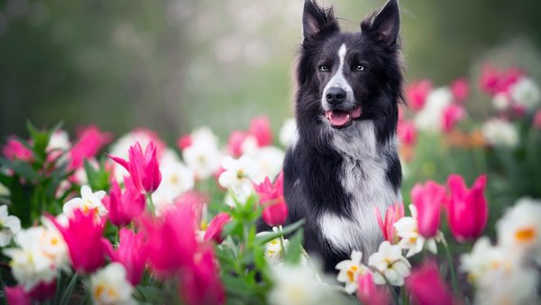 file_90344706