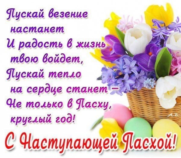 file_68304846