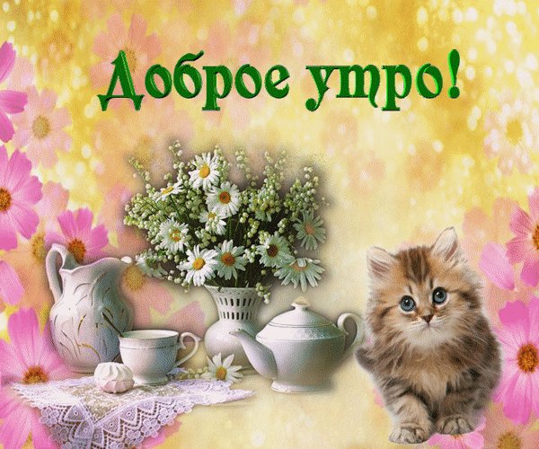 Доброе утро!