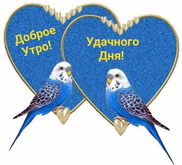 IMG-20210919-WA0000