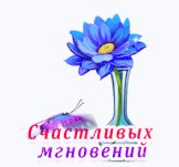 file_84780946