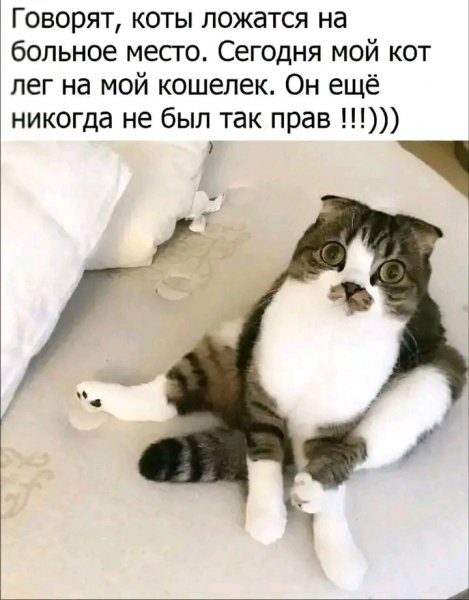 file_103231491