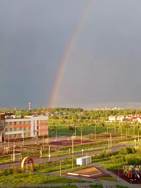 file_96917697